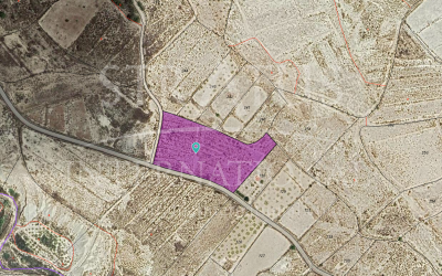 Land - For Sale - Abanilla - Inland