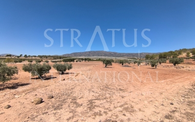 Land - For Sale - Monovar - Rural location