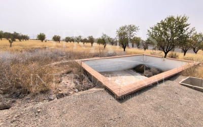 Land - For Sale - Yecla - Rural location