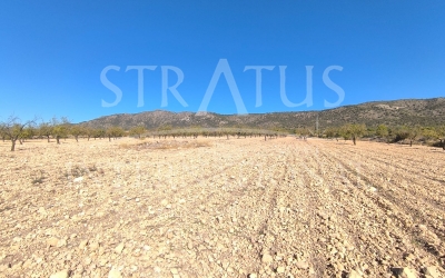 Land - For Sale - Monovar - Rural location