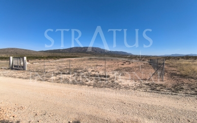 Land - For Sale - Pinoso - Rural location
