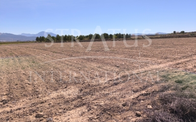 Land - For Sale - Pinoso - Rural location