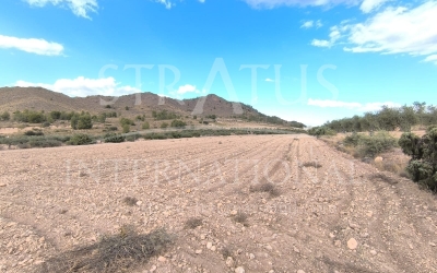 Land - For Sale - Yecla - Rural location