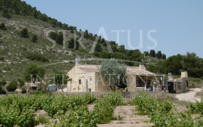 Maison de campagne - A vendre - Yecla - Rural location