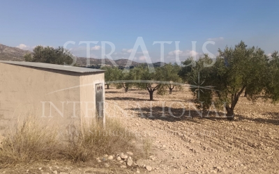 Land - For Sale - Salinas - Salinas