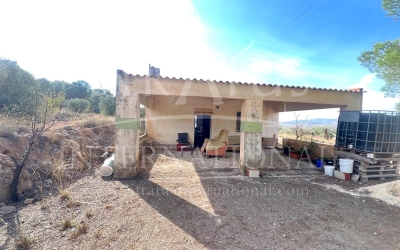 Maison de campagne - A vendre - Pinoso - Pinoso