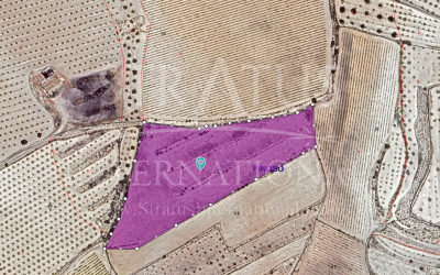 Land - For Sale - Pinoso - Pinoso