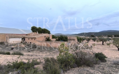 Country House - For Sale - Villena - Rural location