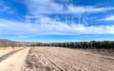 Terrain - A vendre - Raspay - Rural location