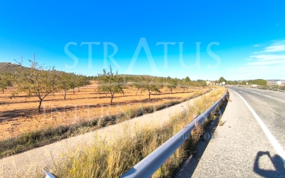 Land - For Sale - Yecla - Rural location