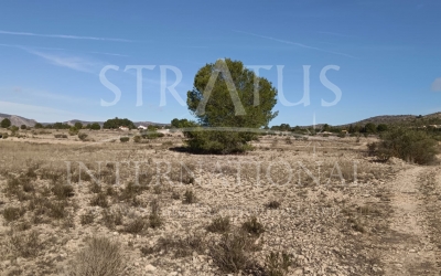 Terrain - A vendre - Salinas - Rural location