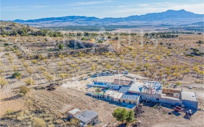 Villa - A vendre - Jumilla - Rural location
