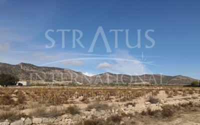 Terrain - A vendre - Salinas - Rural location