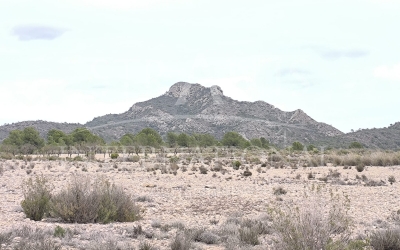 Land - For Sale - Salinas - Rural location