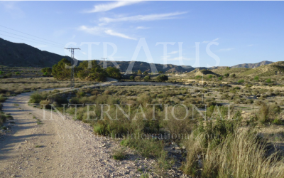 Land - For Sale - Abanilla - Inland