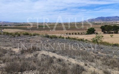Land - For Sale - Pinoso - Pinoso - El Pinós