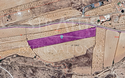 Land - For Sale - Pinoso - Pinoso
