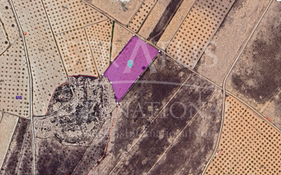 Terrain - A vendre - Abanilla - Cañada de la Leña