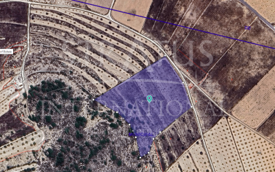 Terrain - A vendre - Abanilla - Cañada de la Leña