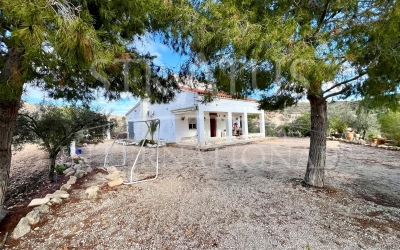 Maison de campagne - A vendre - Monovar - Monovar