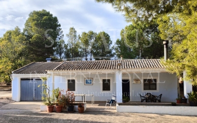 Country House - For Sale - Yecla - Rural location