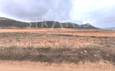 Land - For Sale - La Solana - Rural location