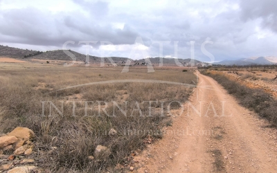 Land - For Sale - La Solana - Rural location