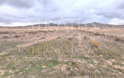 Land - For Sale - La Solana - Rural location