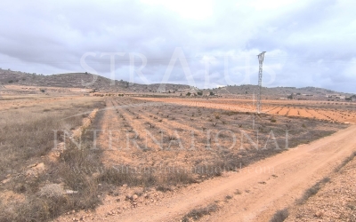 Terrain - A vendre - La Solana - Rural location