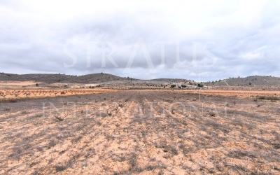 Land - For Sale - La Solana - Rural location