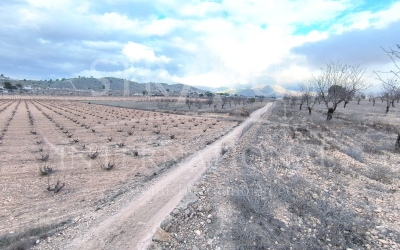 Terrain - A vendre - La Solana - Rural location