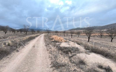 Land - For Sale - La Solana - Rural location