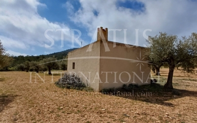 Land - For Sale - Yecla - Rural location
