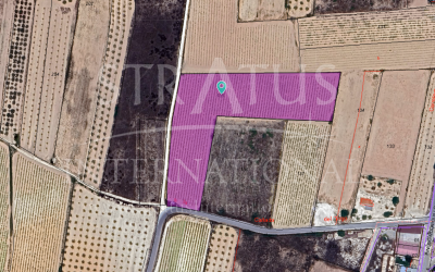 Terrain - A vendre - Pinoso - Inland