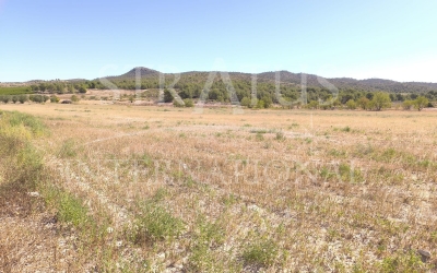 Land - For Sale - Monovar - Rural location