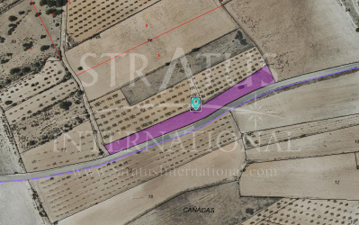 Land - For Sale - Monovar - Rural location