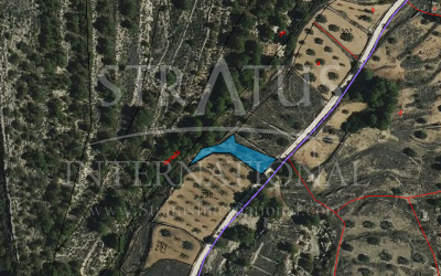 Land - For Sale - Monovar - Rural location