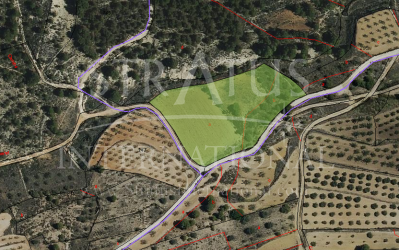 Land - For Sale - Monovar - Rural location