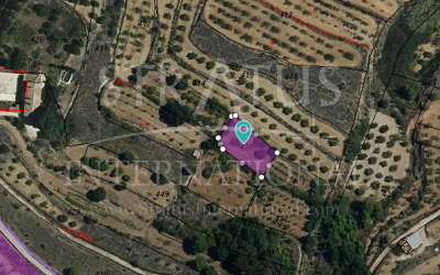 Land - For Sale - Monovar - Rural location