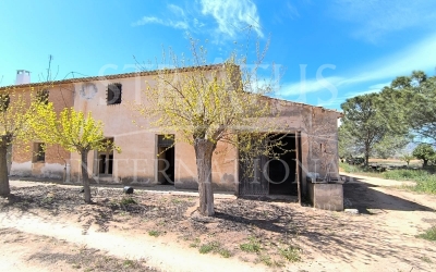 Country House - For Sale - Yecla - Rural location