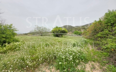 Terrain - A vendre - Monovar - Rural location