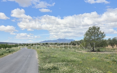 Terrain - A vendre - Monovar - Rural location