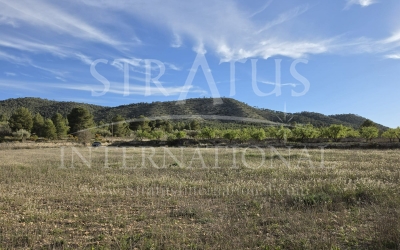 Terrain - A vendre - Monovar - Rural location