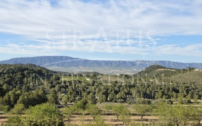 Land - For Sale - Monovar - Monovar