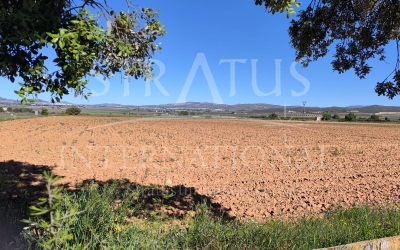 Land - For Sale - Yecla - Rural location