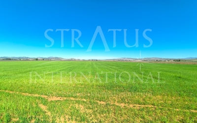 Terrain - A vendre - Yecla - Rural location