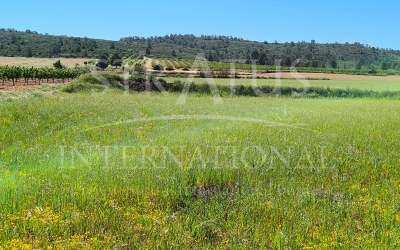 Terrain - A vendre - Yecla - Rural location