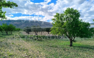 Terrain - A vendre - Caudete - Rural location