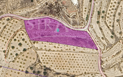 Land - For Sale - Yecla - Yecla
