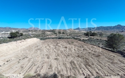 Land - For Sale - Abanilla - Rural location